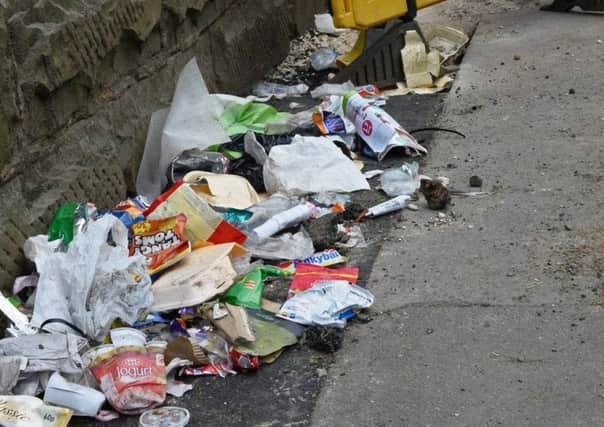 What can be done to tackle Britain's litter epidemic?