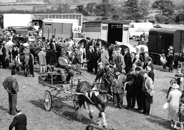 Lee Gap Horse Fair at West Ardsley, Wakefield. August 1964
