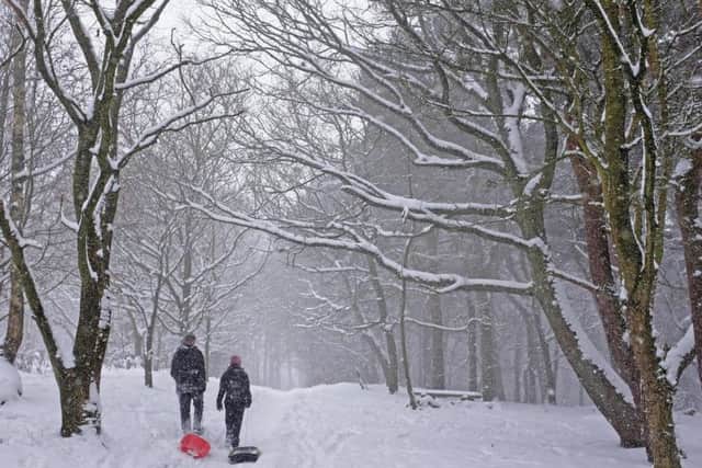 A couple walk through the snow in Prince of Wales Park during a snow shower.
28 February 2018.  Picture Bruce Rollinson