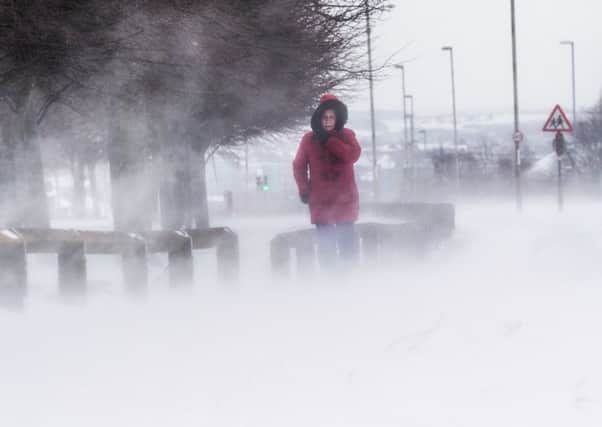 Yorkshire's weather resilience has been tested by the 'Beast from the East'.
