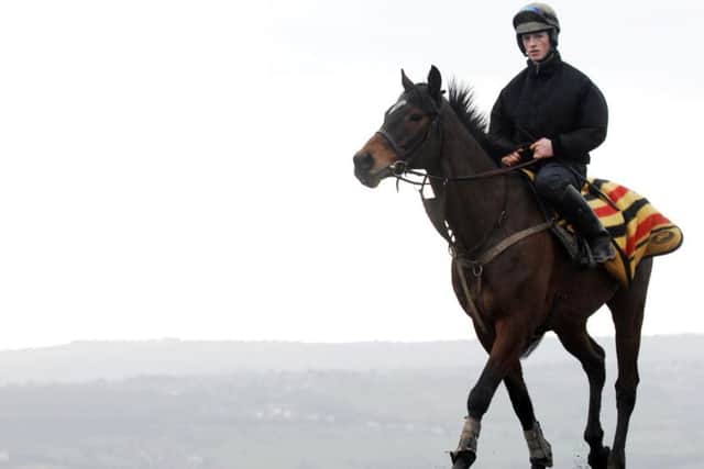 Mister McGildrick on the gallops at Sue Smith's stables - former jockey Andrew Kinirons is in the saddle.