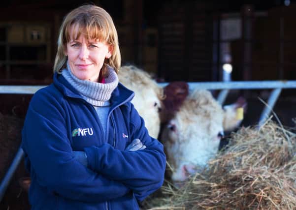 Minette Batters, president of the National Farmers' Union. Picture by Tim Scrivener.