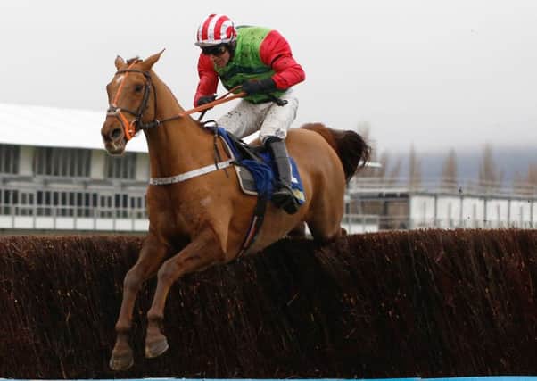 Definitly Red and Danny Cook clear the last in the Cotswold Chase.