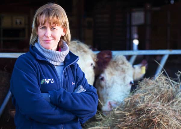 Minette Batters, president of the National Farmers' Union, will speak to all the chief constables in the country about rural crime at a meeting in York today. Picture by Tim Scrivener.