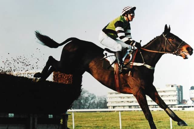 Jodami and Mark Dwyer in winning action at Haydock.