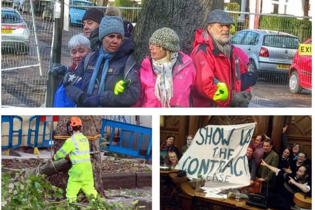 The fight to save Sheffield's trees has been ongoing for almost six years.