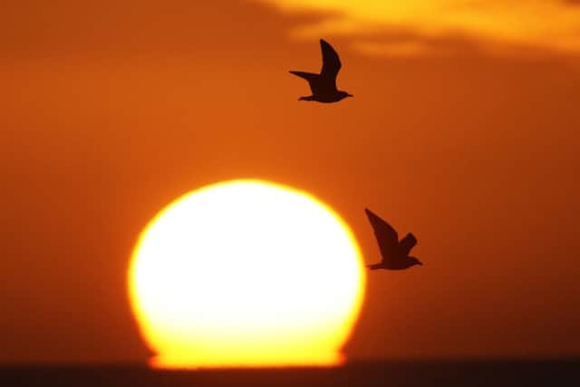 Seagulls fly in front of the sun as it rises over the coast on Friday morning. Temperatures are expected to rise into double figures over the weekend. Picture: Owen Humphreys/PA Wire. Drone footage: Charlotte Graham.
