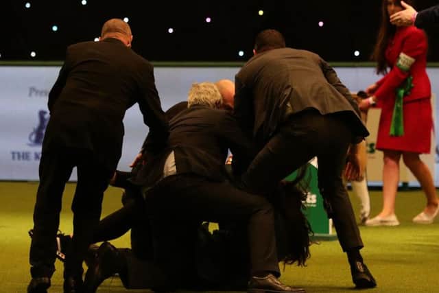 An intruder is wrestled to the ground after Tease, the Whippet, was named Supreme Champion during the final day of Crufts 2018 at the NEC in Birmingham.