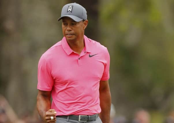 Tiger Woods: Went close.