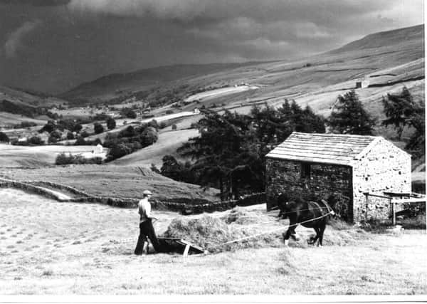 Mr Cherry Keaton and Pat, sweeping hay with a Swaledale-type sweep.