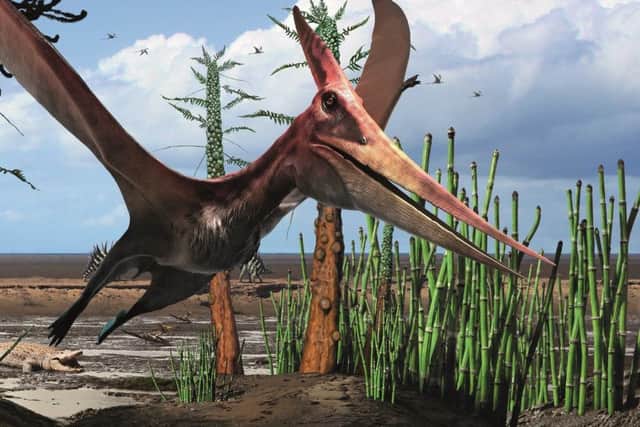 Pterosaur visual form the Jurassic World display.