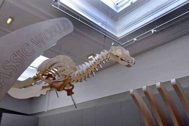 One of the exhibits in  the new exhibition Yorkshire's Jurassic World at the Yorkshire Museum in York hanging from the ceiling in one of the galleries.