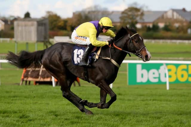 Jack Quinlan and Kalashnikov in winning action at Wetherby.