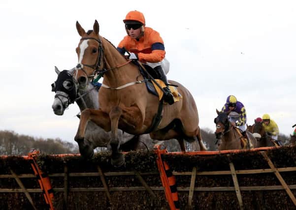 Joe Colliver and Sam Spinner line up in the Stayers' Hurdle at Cheltenham today.