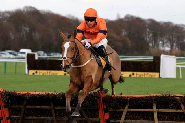 Leap of faith: Joe Colliver on board Sam Spinner winning at Haydock in November. (Picture: Clint Hughes/PA)