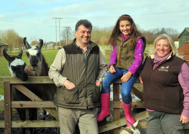 The  Willamson family, Nigel, Katie and Fiona of Barmston Farm and Holiday Park at Woodmansey with llamas Oliver and Elaine.