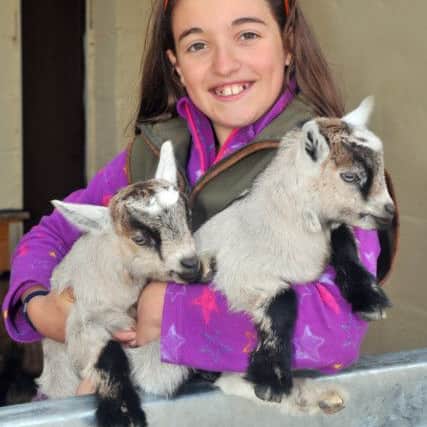 Katie Willamson with twin one-week-old pygmy goats.