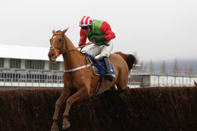Gold Cup hope: Definitly Red and Danny Cook.