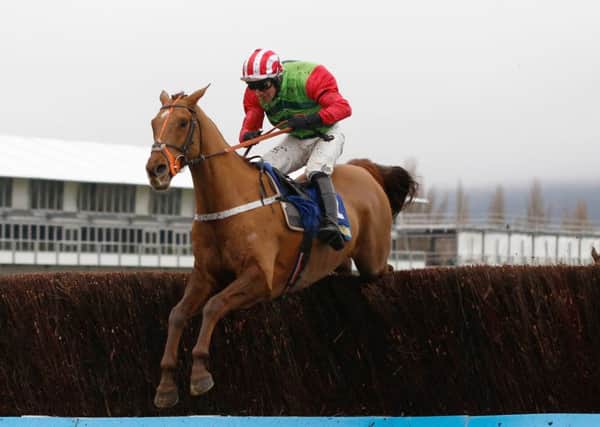 Gold Cup hope: Definitly Red and Danny Cook.
