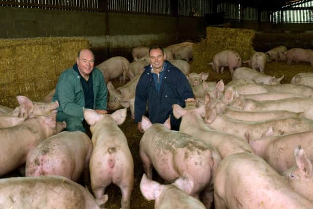 Brothers, David (left) and Richard Lister with pigs at their farm near Boroughbridge. Picture by Gary Longbottom.