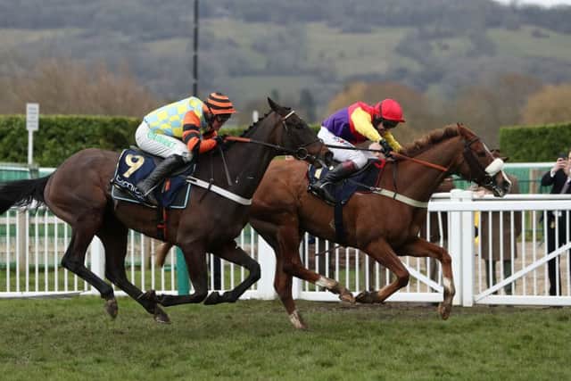 Native River ridden by Richard Johnson (right) jumps the last with Might Bite ridden by Nico de Boinville on their way to victory in the Timico Cheltenham Gold Cup Chase at Cheltenham.