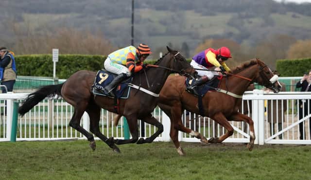 Native River ridden by Richard Johnson (right) jumps the last with Might Bite ridden by Nico de Boinville on their way to victory in the Timico Cheltenham Gold Cup Chase at Cheltenham.
