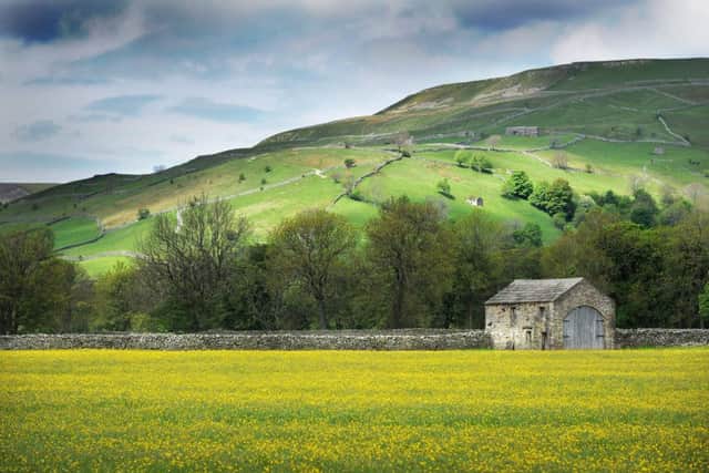 Swaledale is one of David Hill's favourite places.