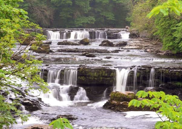 20th May 2014
PICTURE POST
Pictured the Upper Falls at Aysgarth.
Camera info Nikon D3s, 80-200mm lens f22 @5th second, iso rating 100.
Picture by Gerard Binks.
GB100162b