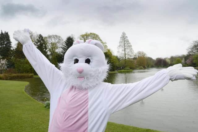 Photo by Paul Atkinson. Join the Easter Bunny at events taking place throughout Yorkshire
