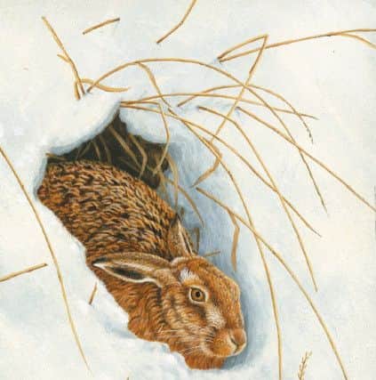 One of Robert's paintings of a hare in the snow.