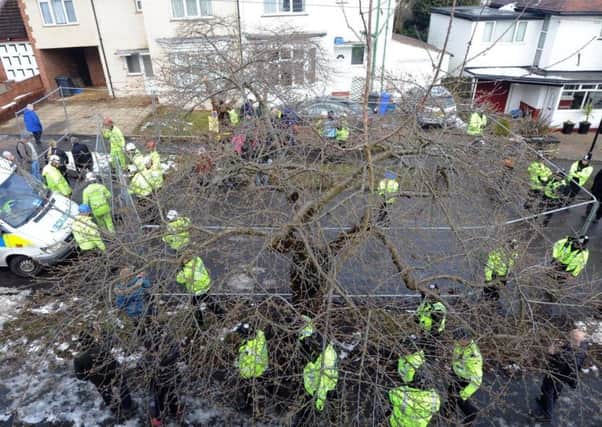 Does the council in Sheffield deserve criticism ove the tree felling saga?