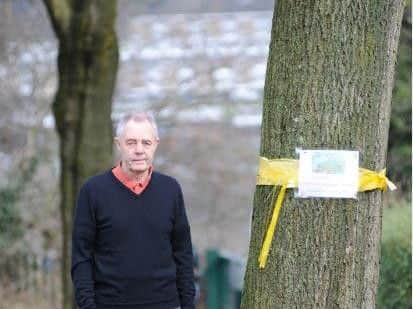 Alan Simpson has been arrested twice in relation to Sheffield tree-felling protests.