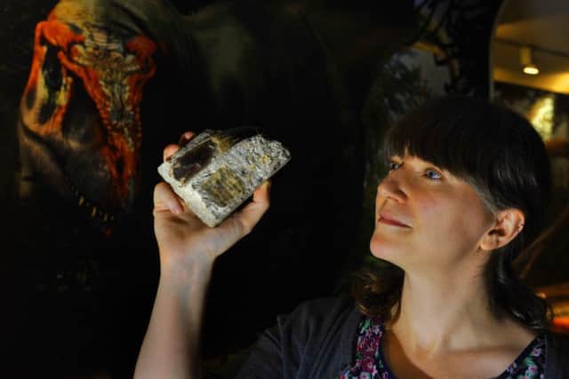 Sarah King, Curator of Natural Science at the Yorkshire Museum,  with a  Megalosaur tooth around 170 million years old.