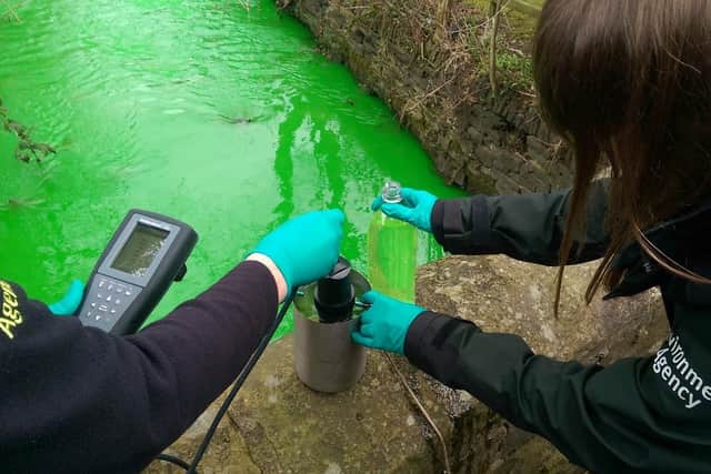 Environment Agency checking the green water. PIC: Environment Agency