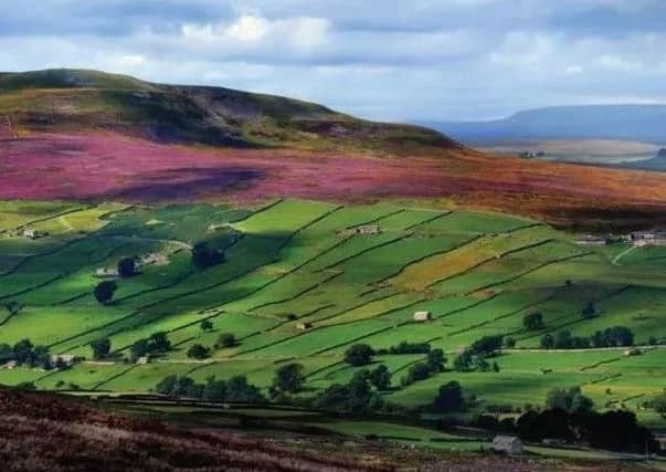The Yorkshire Dales National Park Authority is keen to see its pilot scheme to better reward farmers for environmental measures on farmers to be extended.