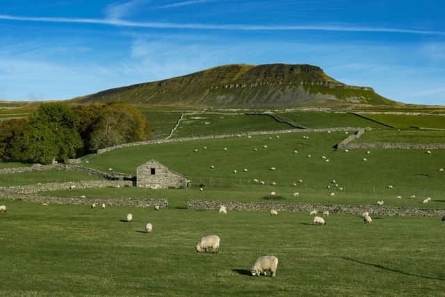Upland farming underpins the economy and communities of the Yorkshire Dales National Park. Picture by James Hardisty.