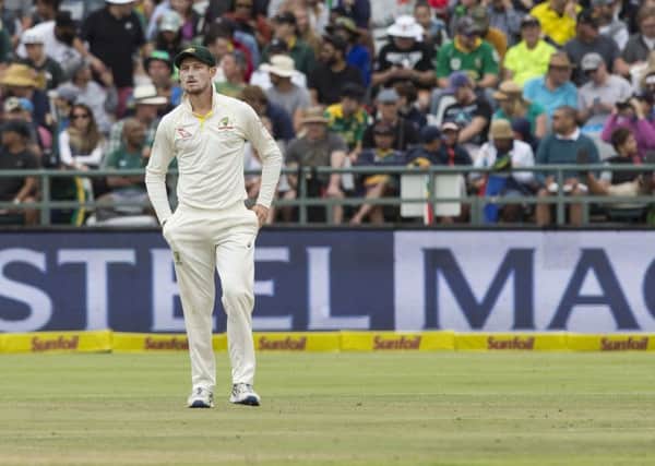 Cameron Bancroft of Australia on the pitch during the third day of the third cricket test between South Africa and Australia at Newlands Stadium, in Cape Town. (AP Photo/Halden Krog)