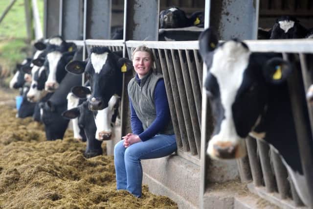Jenny Clarkson with members of her family's dairy herd of 160 Holstein Friesians at Hazel Slack Farm.