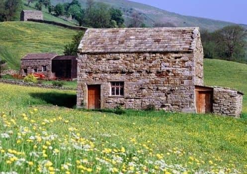 The cost of conserving and restoring traditional farm buildings such as outlying barns is considered prohibitively expensive for most farms.