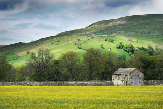There are more than 4,000 traditional field barns in the Yorkshire Dales National Park. Picture by Bruce Rollinson.