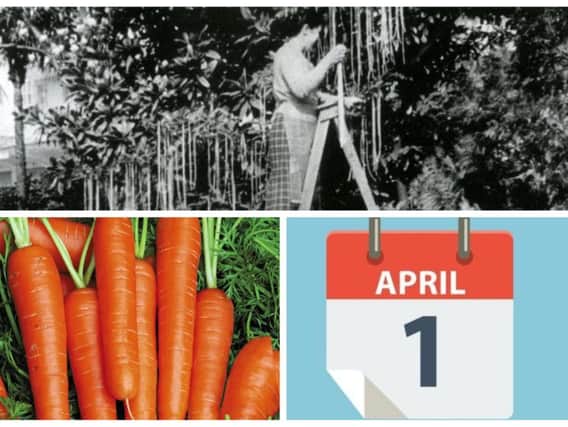 Today is April Fools Day... but what does it mean and why do we do it?