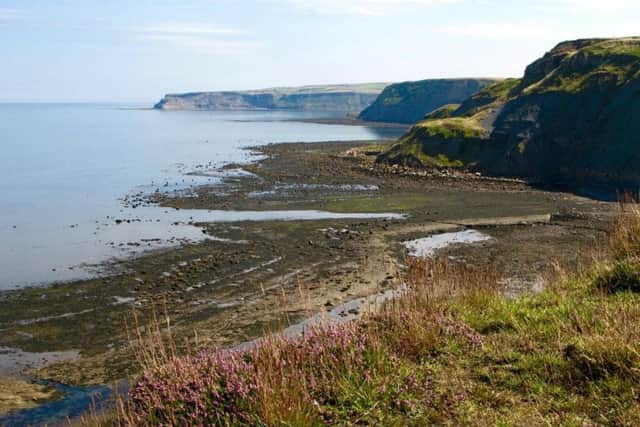 A view southwards from the Cleveland Way towards Runswick Bay and Kettleness. Picture by Roger Ratcliffe.