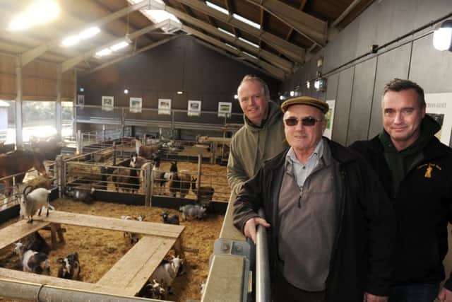 Robert, Roger and Dave Nicholson of Cannon Hall Farm in Cawthorne. Picture by Scott Merrylees.