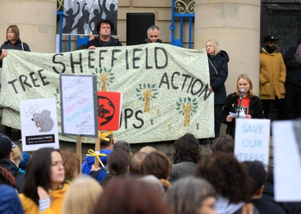 Sheffield tree protesters.