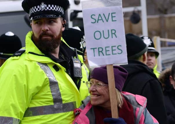 Tree campaigners will once again take to the streets of Sheffield today.