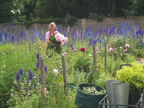 Susan Cunliffe-Lister amid the Swinton Park garden