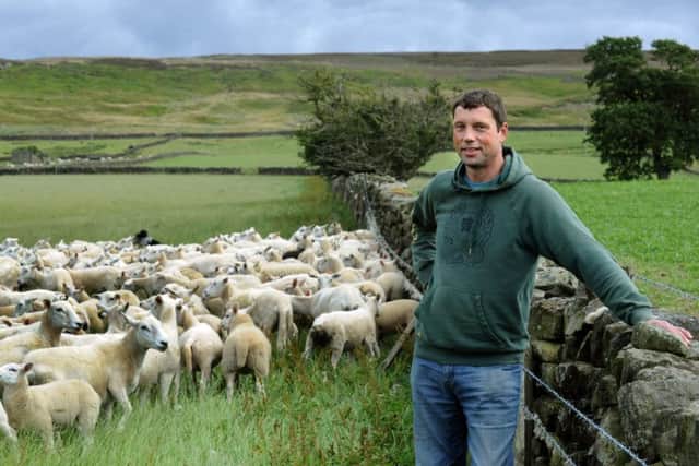 Richard Findlay, the NFU's national livestock board chairman, is hopeful the new Livestock Information Service will allow for current standstill rules to be abolished.