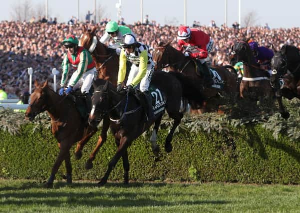 Vieux Lion Rouge ridden by Tom Scudamore (left) clears the water jump in last year's Grand National.
