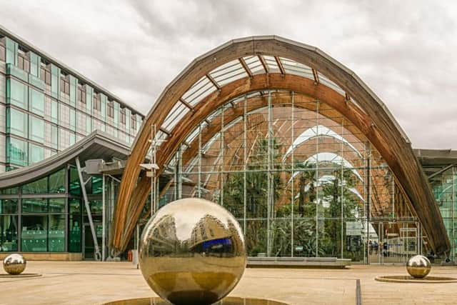 The Winter Garden in Sheffield is home to more than 2,000 plants and is 70 metres in length