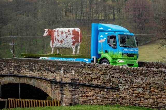 Emma Stothard's galvanised steel sculpture of the Craven Heifer being transported between Bolton Abbey and York's Imphal Barracks. It has been designed to spread the word about the 160th Great Yorkshire Show and weighs more than half a tonne. Pictures by Charlotte Graham.